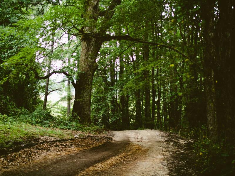 sudoku hint feature screenshot 5